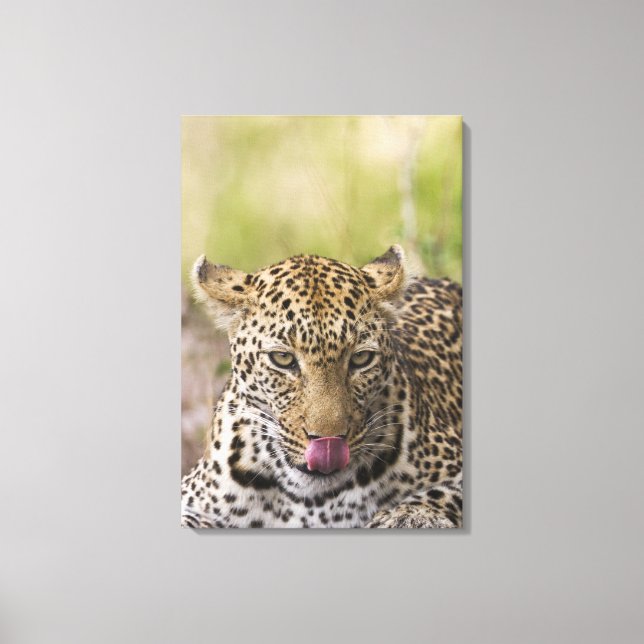 Lienzo Leopardo (Anverso)