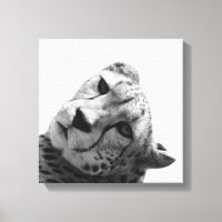 Leopardo cheetah foto animal salvaje blanco y negr