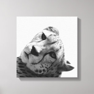 Lienzo Leopardo cheetah foto animal salvaje blanco y negr