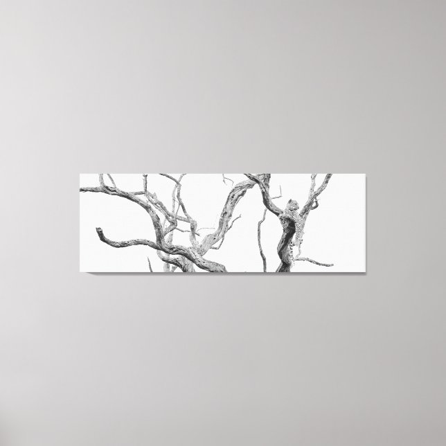 Lienzo Leopardo de alta clave: hembra de Inkanyeni