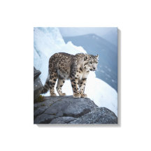 Leopardo de la nieve en un pico congelado