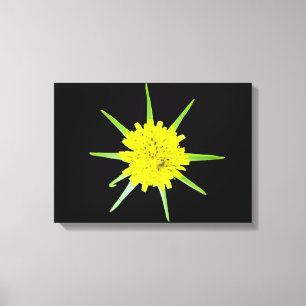 Lienzo Lesser Flor silvestre de barba de cabra Imprimir