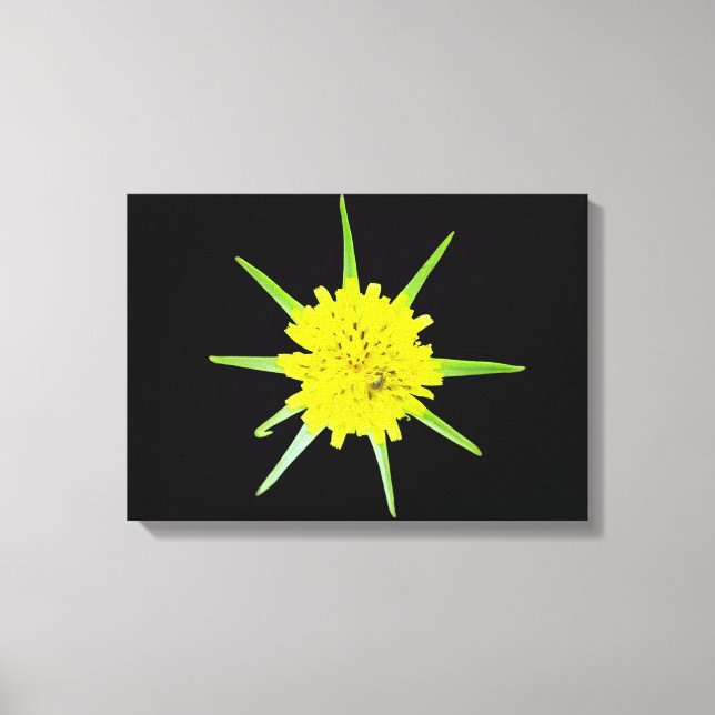 Lienzo Lesser Flor silvestre de barba de cabra Imprimir (Anverso)