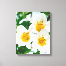 Lienzo Leyendas blancas - Símbolo de amor