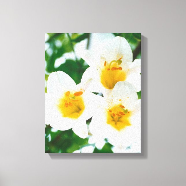 Lienzo Leyendas blancas - Símbolo de amor (Anverso)