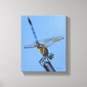 Lienzo Libélula azul de Dasher en "postura del obelisco 