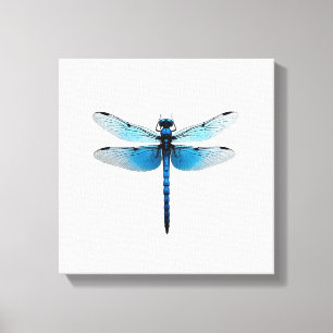 Lienzo Libélula Azul - Entomólogo Amante de Animales de V