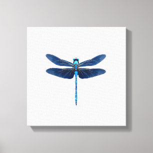 Lienzo Libélula Azul - Entomólogo Amante de la Fauna Inse