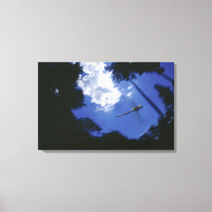 Lienzo Libélula en vuelo, agitando las alas