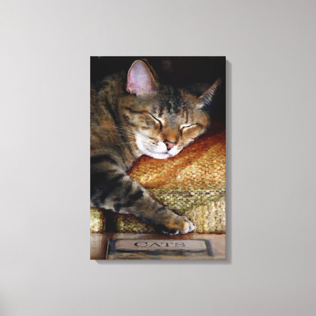 Lienzo Libro de Gatito Dormido (Anverso)