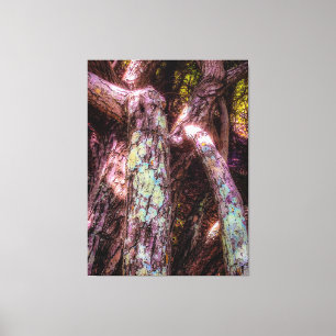 Lienzo Lichen en la luz solar acoplada