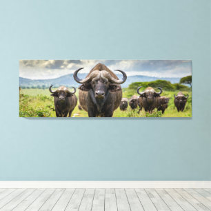 Lienzo ¡Lienzo impreso de Cool Buffalo!