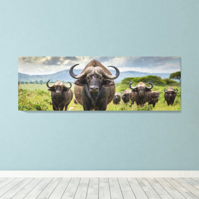 Lienzo ¡Lienzo impreso de Cool Buffalo! (Insitu (piso de madera))