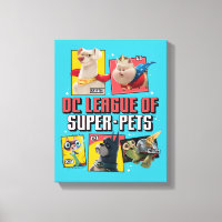 Liga DC de SuperMascotas