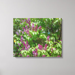 Lienzo Lilac Bush