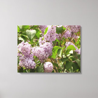 Lienzo Lilac Bush hermosas flores de primavera morada