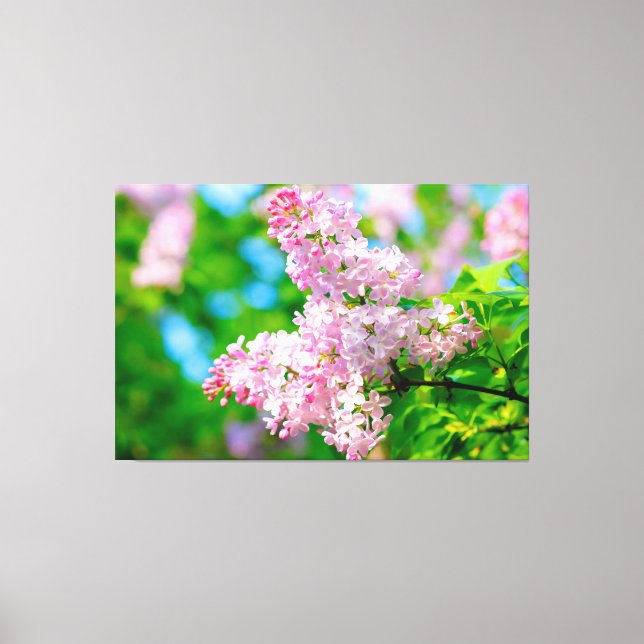 Lienzo Lilacs rosada impresionante (Anverso)