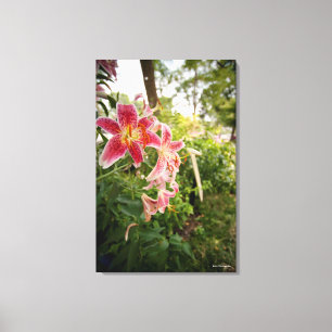 Lienzo Lillies rosado
