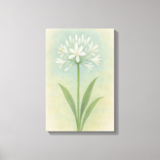 Lienzo Lily del Nilo