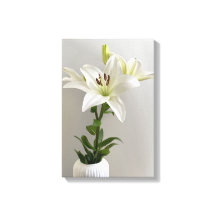 Lily Lullaby | Pintura floral blanca simple