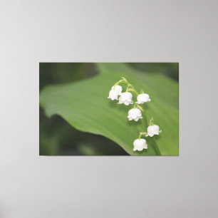 Lienzo Lily Of The Valley Print