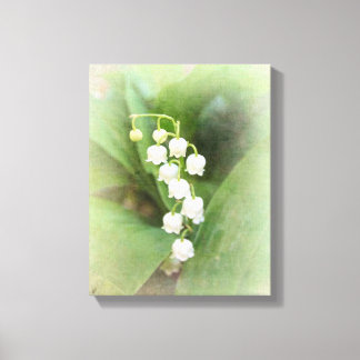 Lienzo Lily of the Valley Stretched Canvas Print