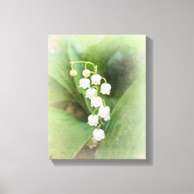 Lienzo Lily of the Valley Stretched Canvas Print (Anverso)