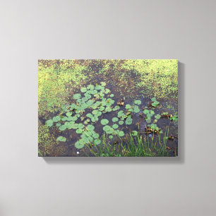 Lienzo Lily Pad en Canvas