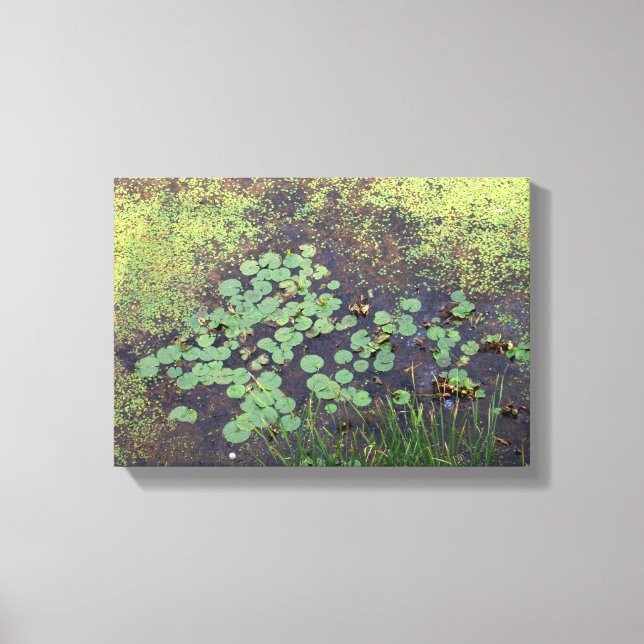 Lienzo Lily Pad en Canvas (Anverso)