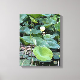 Lienzo Lilyshade Silencio 11 x 14