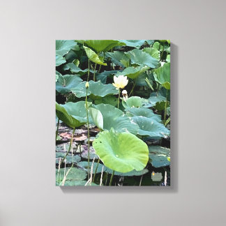 Lienzo Lilyshade Silencio 11 x 14
