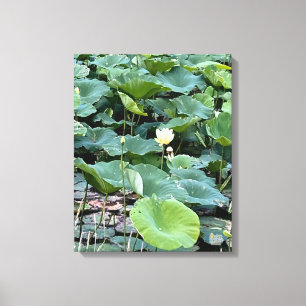 Lienzo Lilyshade Silencio 16 x 20