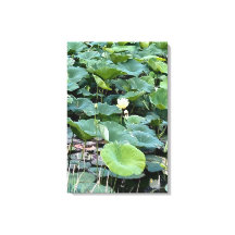 Lilyshade Silencio 20 x30