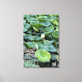 Lienzo Lilyshade Silencio 20 x30