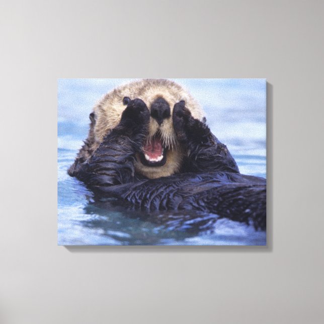 Lienzo Linda nutria marina | Alaska, EE. UU. (Anverso)