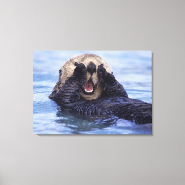 Lienzo Linda nutria marina | Alaska, EE. UU. (Anverso)