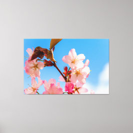 Lienzo Lindas flores de Sakura se abren al sol primaveral