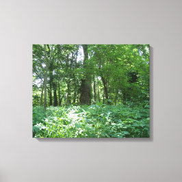 Lienzo Línea de árbol