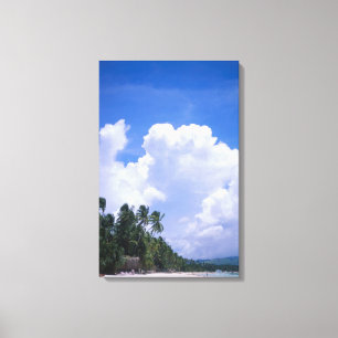 Lienzo Línea de la playa tropical