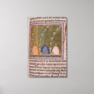 Lienzo Líneas curvadas del bestiario tres