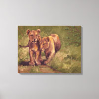 Lion Cubs