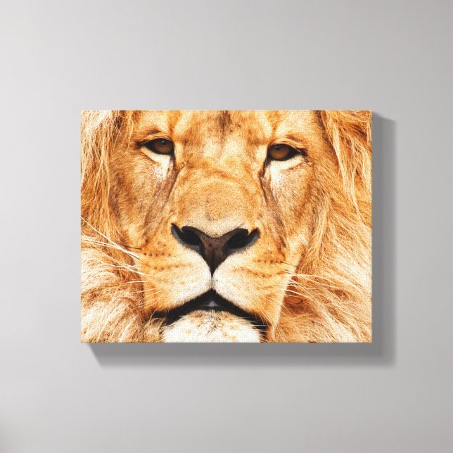 Lienzo Lion sobre lona estirada (Anverso)