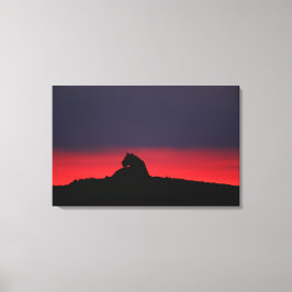 Lienzo Lioness (Panthera leo) sentada al atardecer, Masai