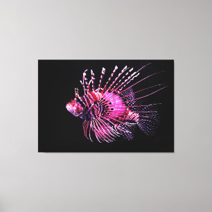 Lienzo Lionfish 12" x 12", 1,5", Single