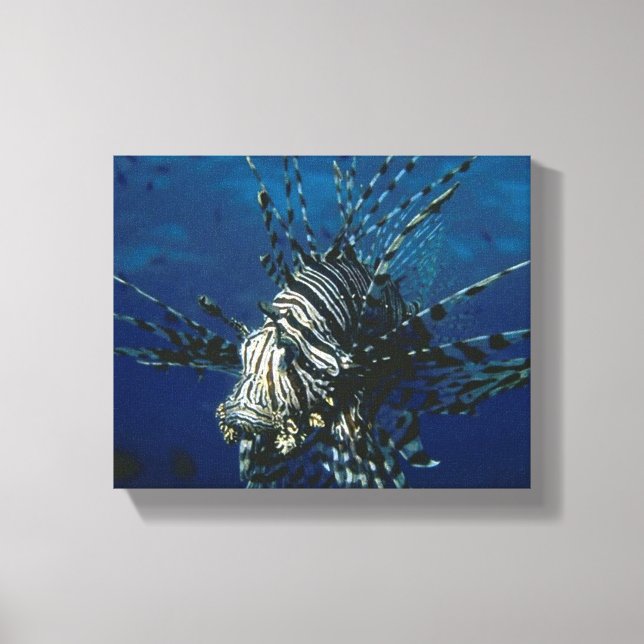 Lienzo Lionfish in the Ocean Canvas (Anverso)