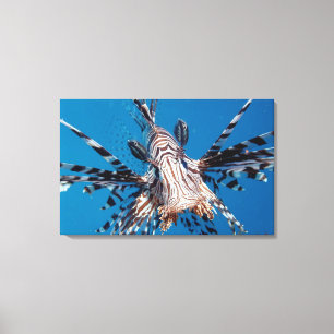 Lienzo Lionfish rojo 2