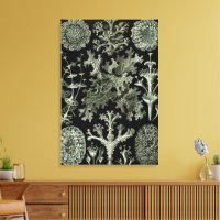 Liquen por Ernst Haeckel, Plantas de la naturaleza