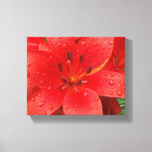 Lienzo Lirio asiático