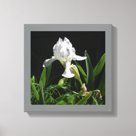Lienzo Lirio blanco para tu pared