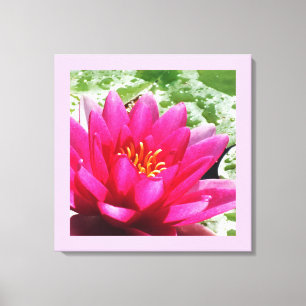 Lienzo Lirio de agua